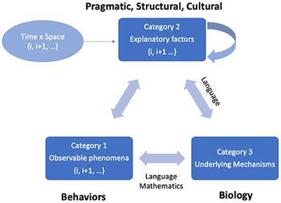 Play the Pain: A Digital Strategy for Play-Oriented Research and Action